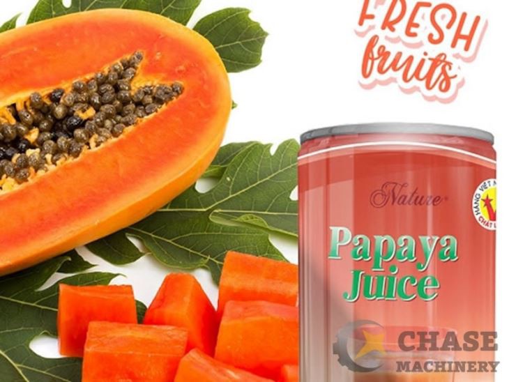 Papaya Juice Production Line