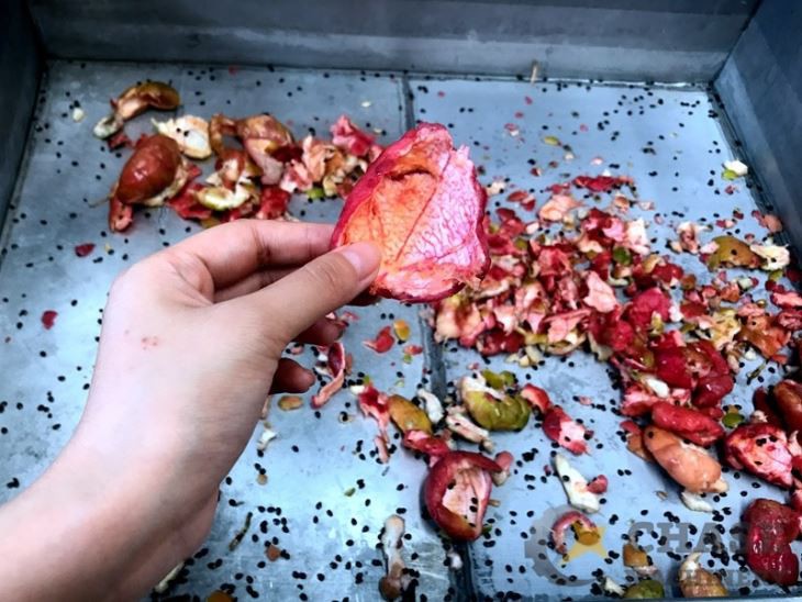 Passion Fruit Chopper